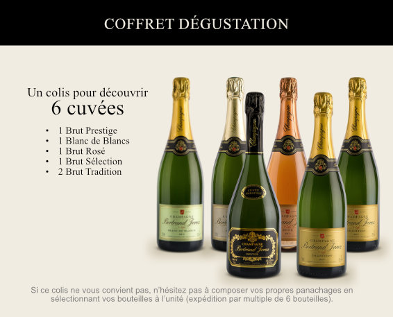 Achat en ligne de Champagne Bertrand Jorez à Ludes